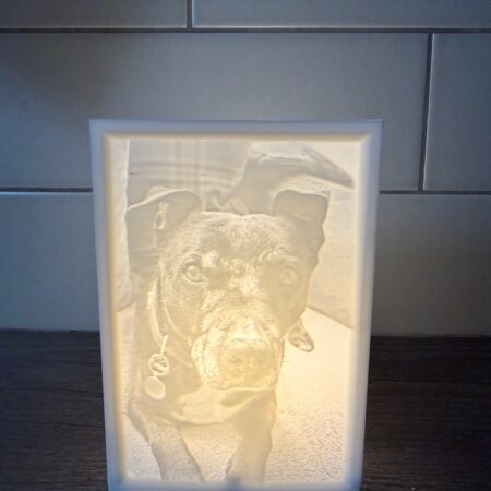 Lithophane Picture